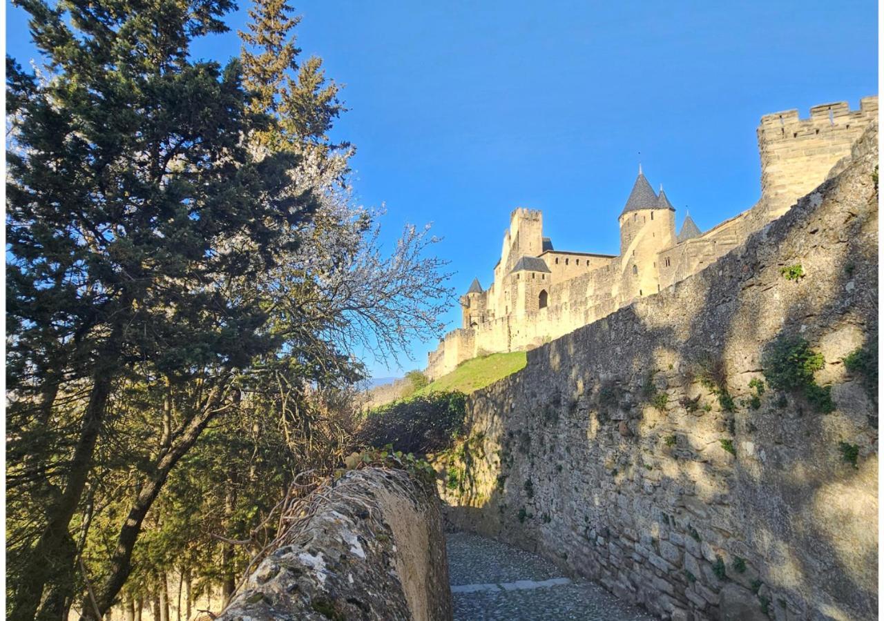 Cite Medievale- Le Remp'Art - Tout Confort - Acces Direct Pietons - Parking Gratuit Carcassonne Esterno foto